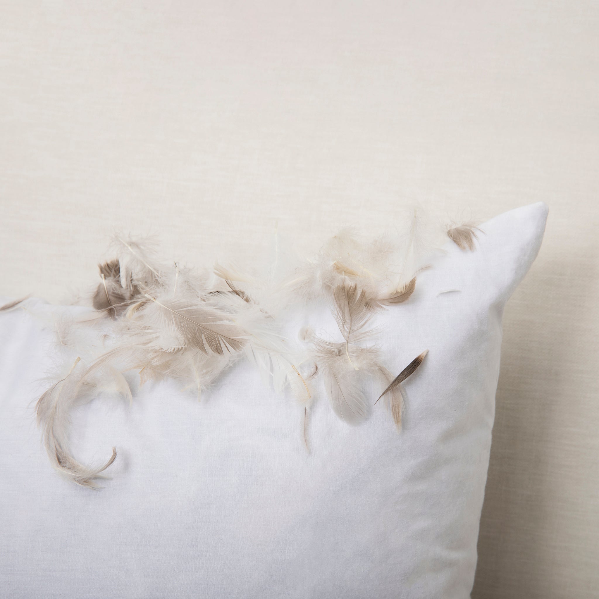 Scatter Cushion Inners