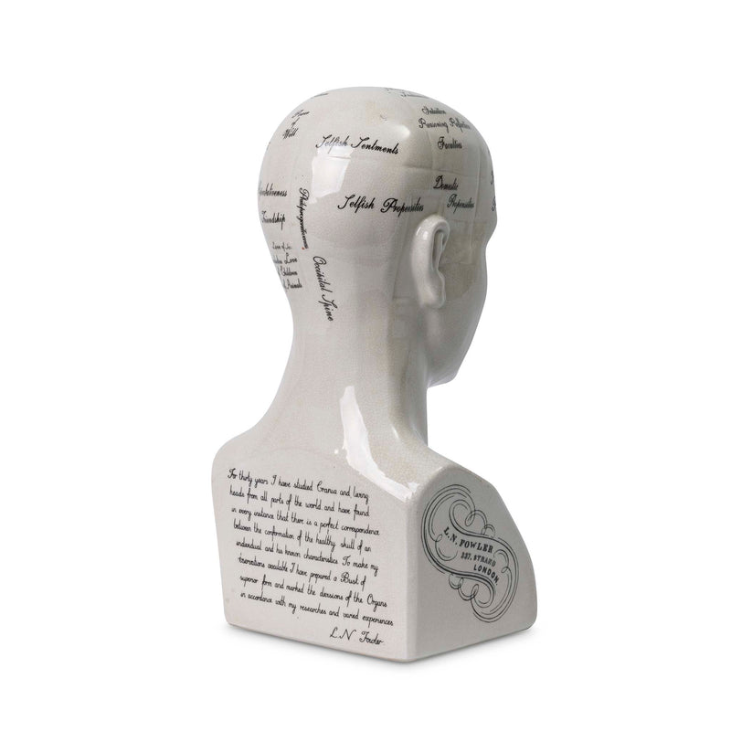 Phrenology bust back details. Calavera head by Giava Interiors made in South Africa