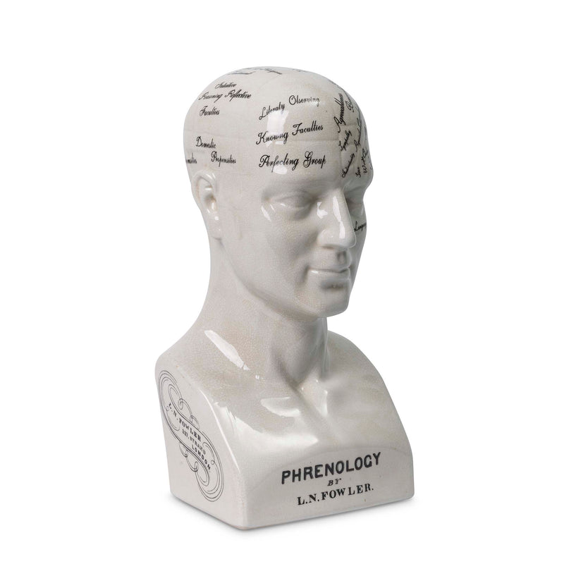 Phrenology bust with engraved facial features . Calavera head by Giava Interiors made in South Africa