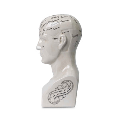 Phrenology bust side details. Calavera head by Giava Interiors made in South Africa