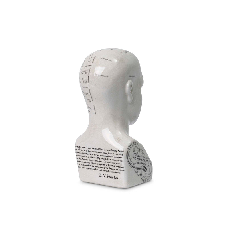 Back detail on the Crania Head sculpture by Giava Interiors made in South Africa