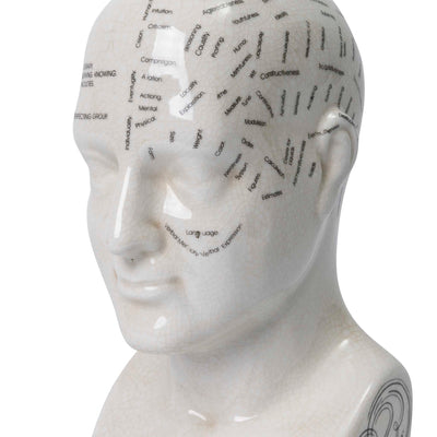 Close-up of the Crania Head sculpture by Giava Interiors made in South Africa