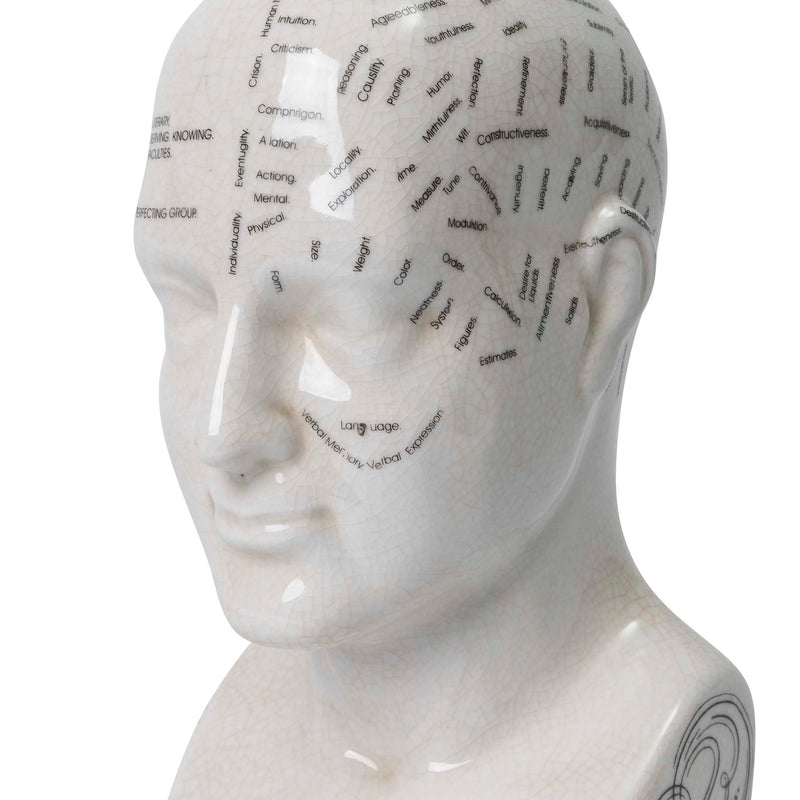 Close-up of the Crania Head sculpture by Giava Interiors made in South Africa