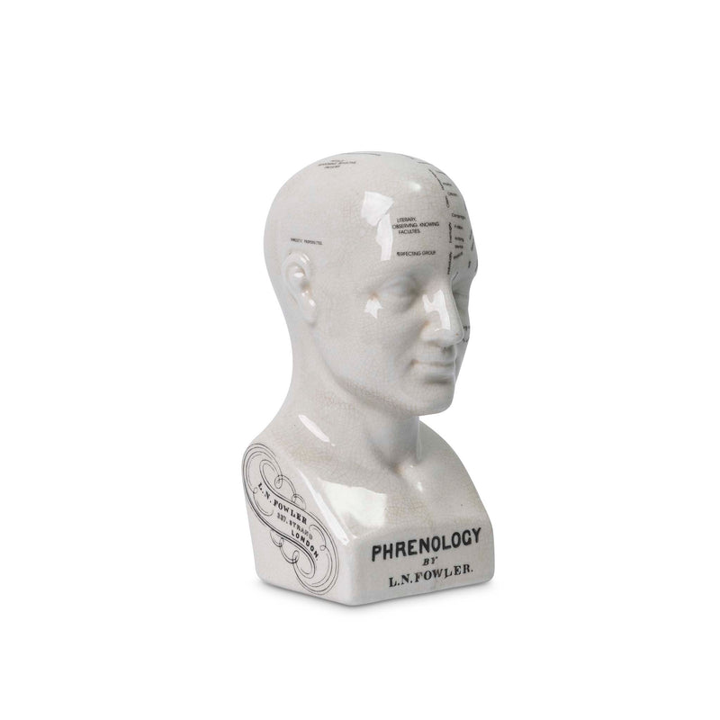 Side view of the Crania Head sculpture by Giava Interiors made in South Africa