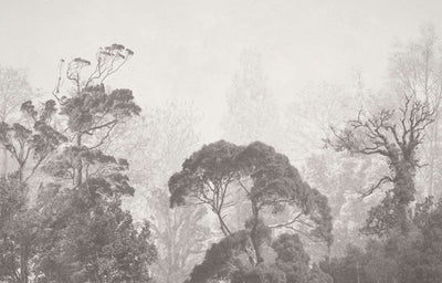 Wallpaper in misty forest by Giava Interiors made in South Africa